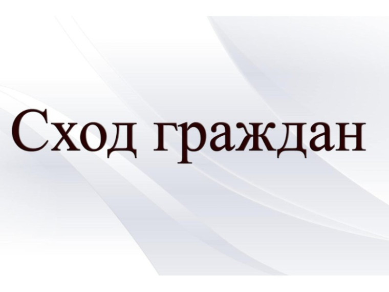 Сход граждан. Сход граждан.